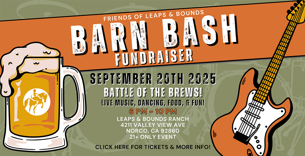 Graphics for Friends of Leaps and Bounds Barn Bash event.